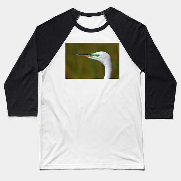 Great Egret Baseball T-Shirt by Jim Cumming